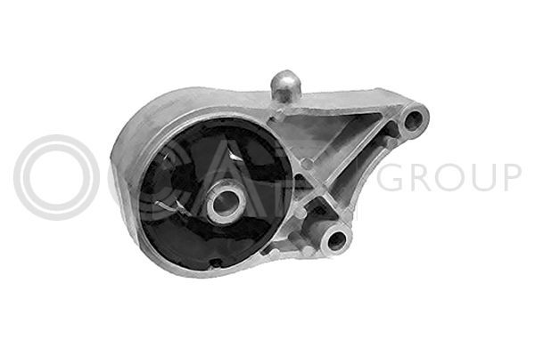 Variklio montavimas OCAP 1225983