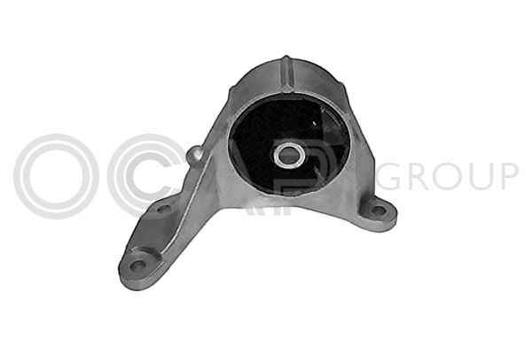 Variklio montavimas OCAP 1225985