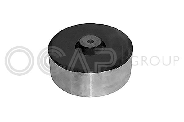 Variklio montavimas OCAP 1225986