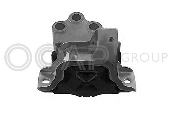 Variklio montavimas OCAP 1225991