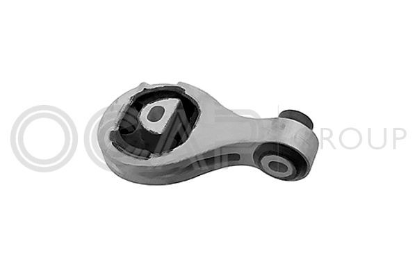 Variklio montavimas OCAP 1225992