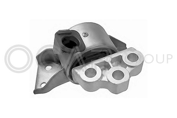 Variklio montavimas OCAP 1225993