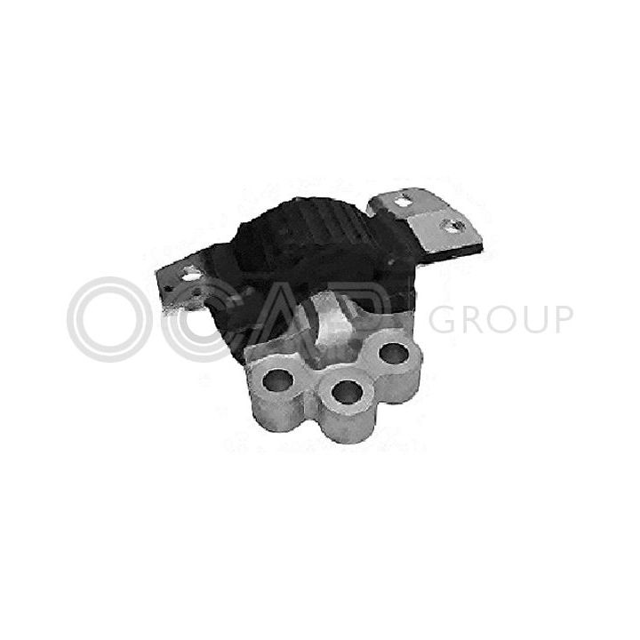 Variklio montavimas OCAP 1225994