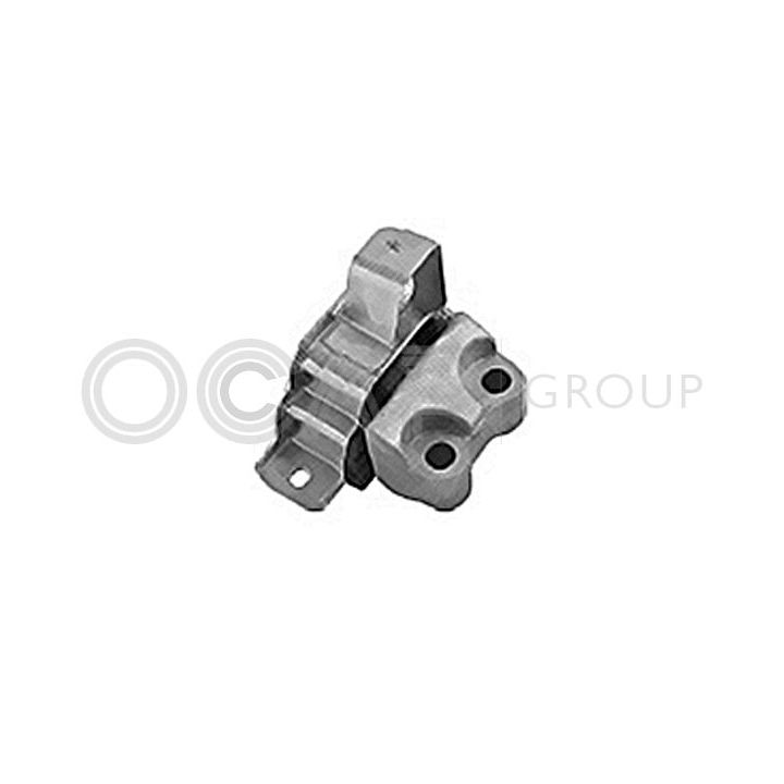 Variklio montavimas OCAP 1225996