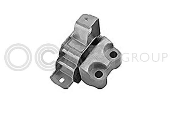 Variklio montavimas OCAP 1225996