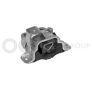 Variklio montavimas OCAP 1225997