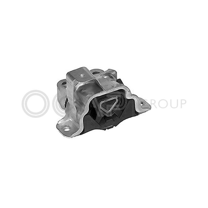 Variklio montavimas OCAP 1225997