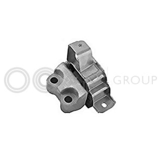 Variklio montavimas OCAP 1225998