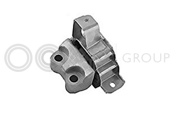 Variklio montavimas OCAP 1225998