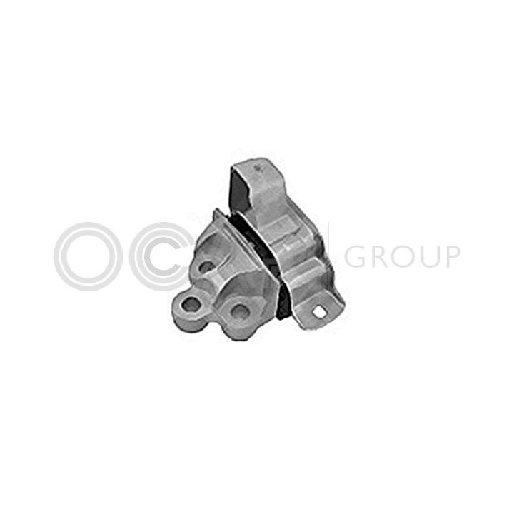 Variklio montavimas OCAP 1225999