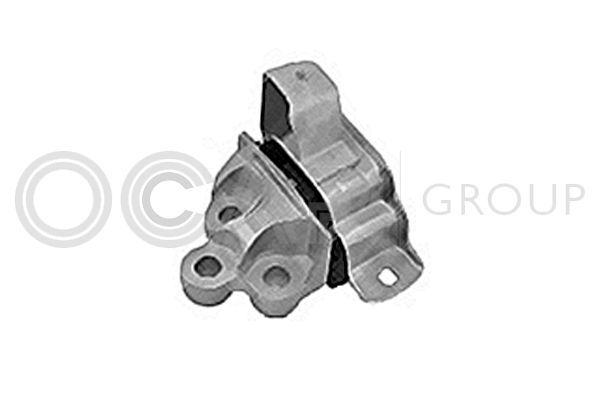 Variklio montavimas OCAP 1225999