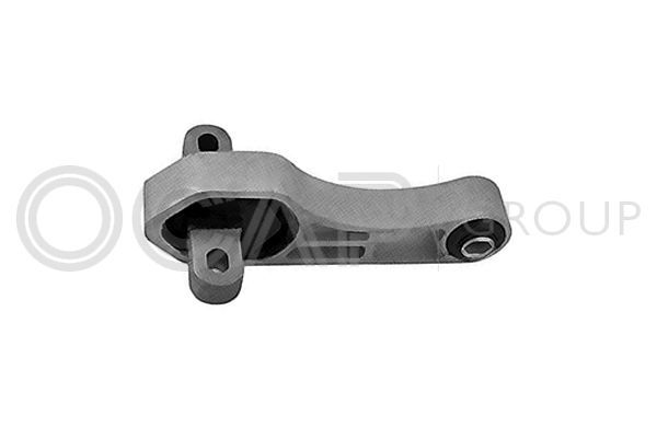 Variklio montavimas OCAP 1226005