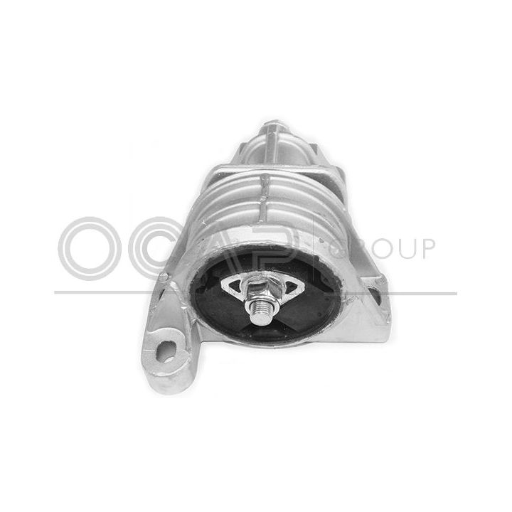 Variklio montavimas OCAP 1226007
