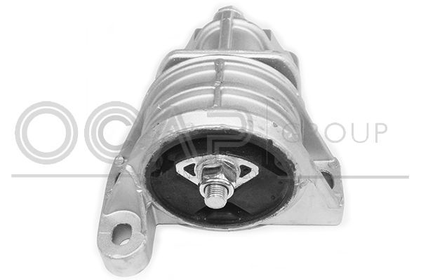 Variklio montavimas OCAP 1226007