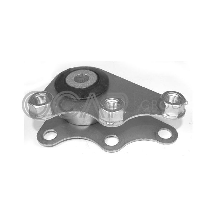 Variklio montavimas OCAP 1226011