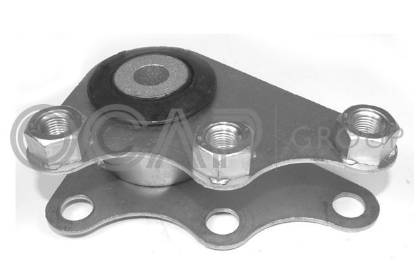 Variklio montavimas OCAP 1226011