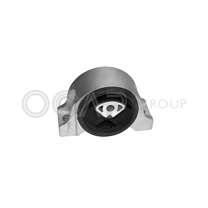 Variklio montavimas OCAP 1226013