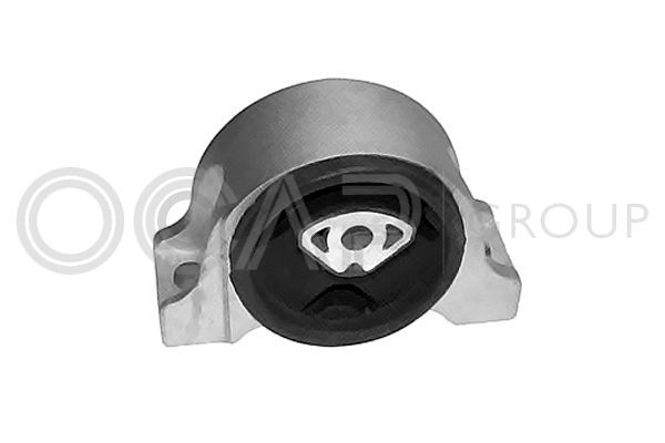 Variklio montavimas OCAP 1226013