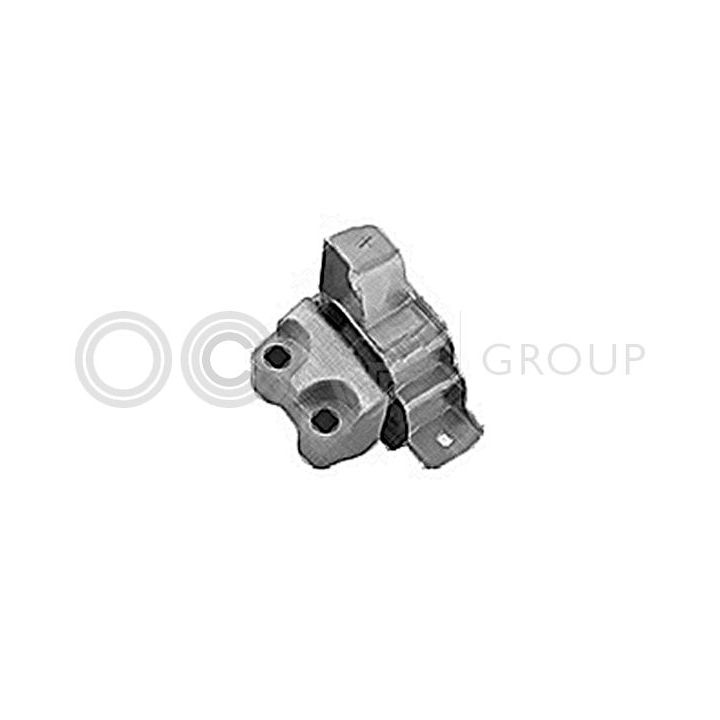 Variklio montavimas OCAP 1226015