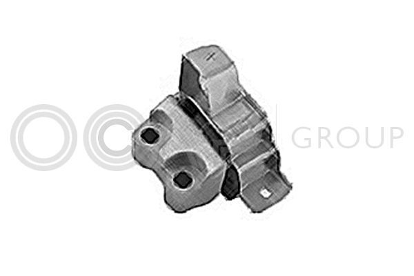 Variklio montavimas OCAP 1226015