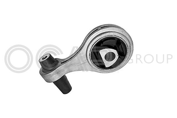 Variklio montavimas OCAP 1226021