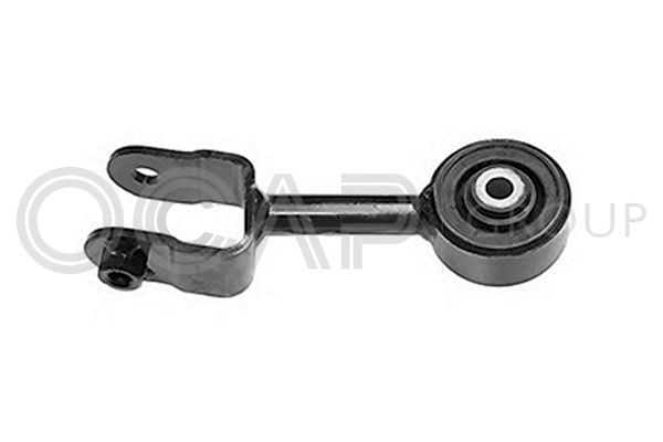 Variklio montavimas OCAP 1226023