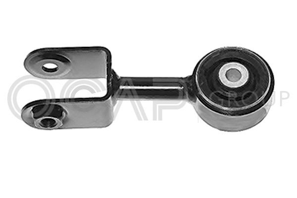 Variklio montavimas OCAP 1226024