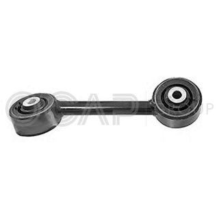 Variklio montavimas OCAP 1226025