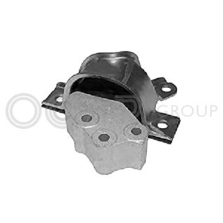 Variklio montavimas OCAP 1226026