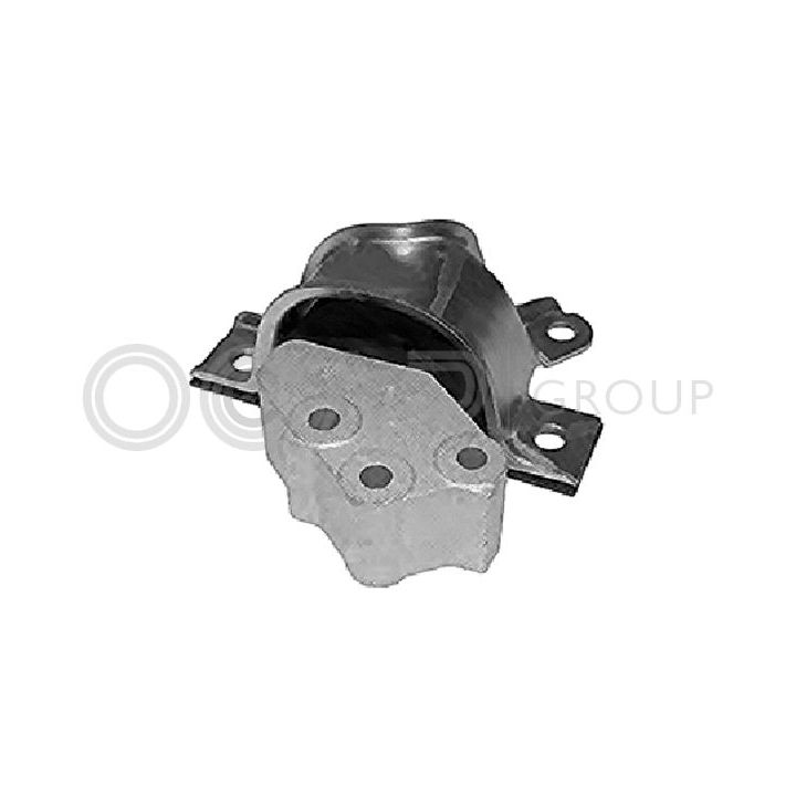 Variklio montavimas OCAP 1226026