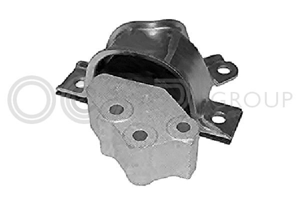 Variklio montavimas OCAP 1226026