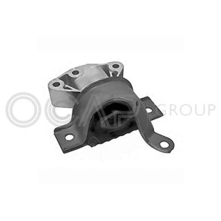 Variklio montavimas OCAP 1226027