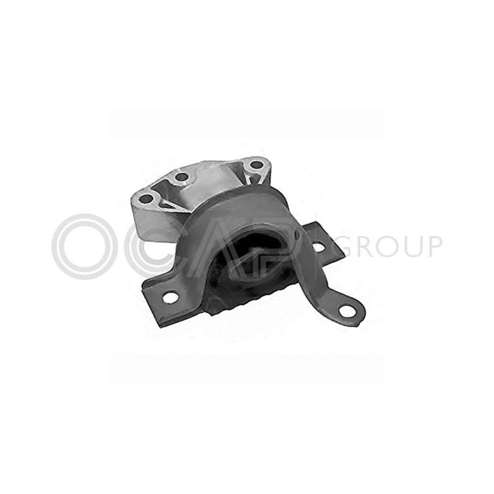 Variklio montavimas OCAP 1226027