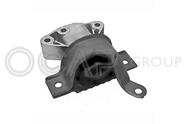 Variklio montavimas OCAP 1226027