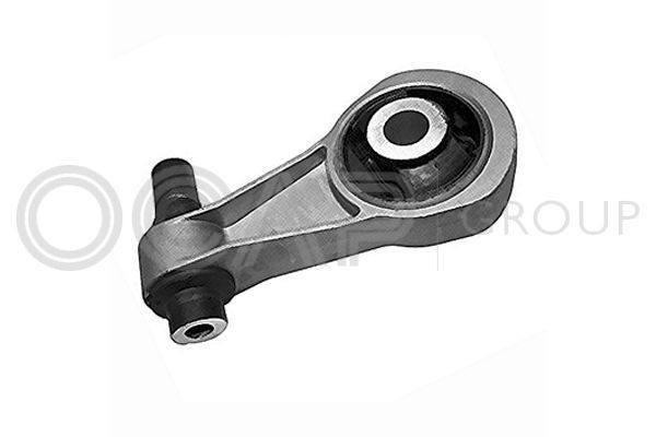 Variklio montavimas OCAP 1226029