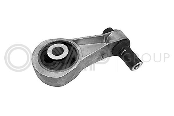 Variklio montavimas OCAP 1226030