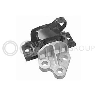 Variklio montavimas OCAP 1226034