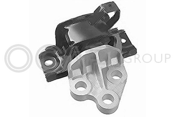 Variklio montavimas OCAP 1226034