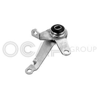 Variklio montavimas OCAP 1226037