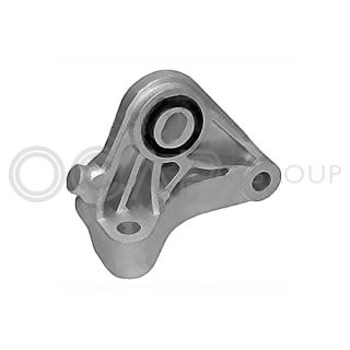 Variklio montavimas OCAP 1226038