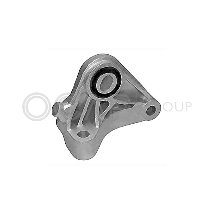 Variklio montavimas OCAP 1226038