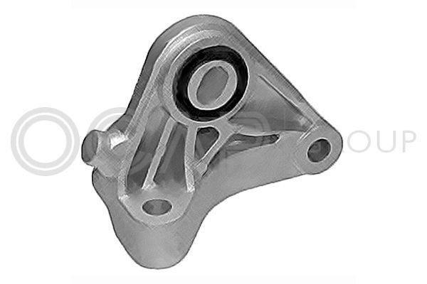 Variklio montavimas OCAP 1226038