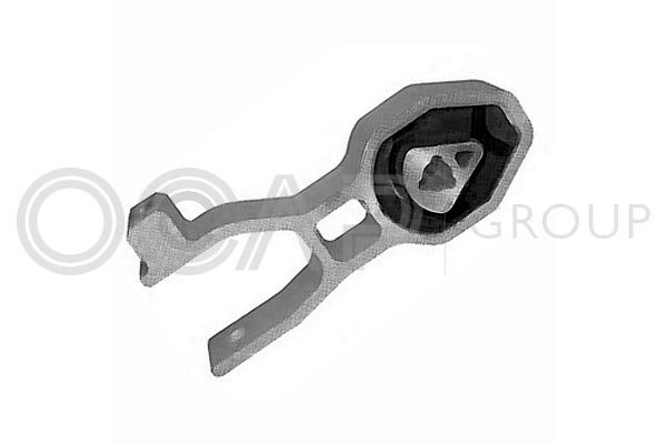 Variklio montavimas OCAP 1226039