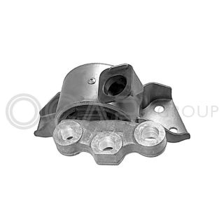 Variklio montavimas OCAP 1226044