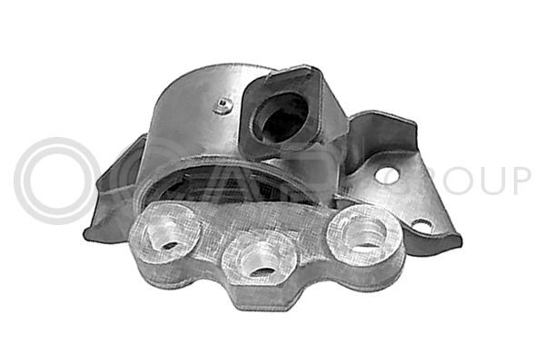 Variklio montavimas OCAP 1226044