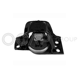 Variklio montavimas OCAP 1226045