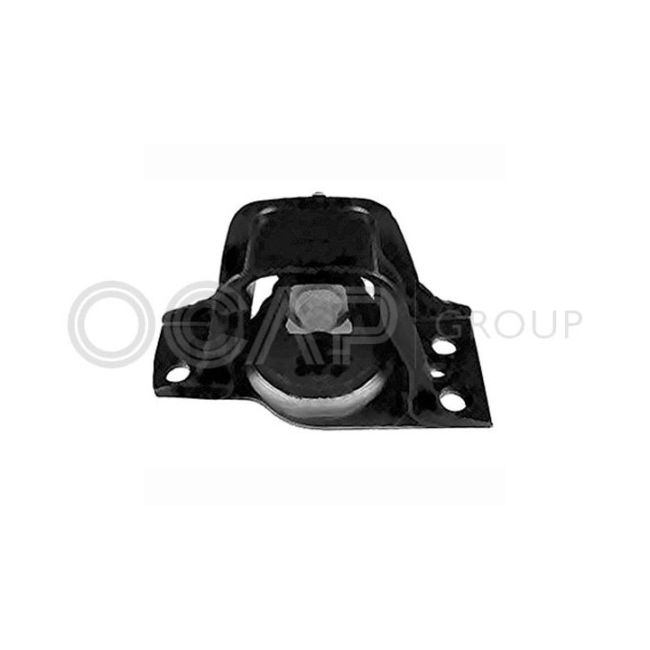 Variklio montavimas OCAP 1226045