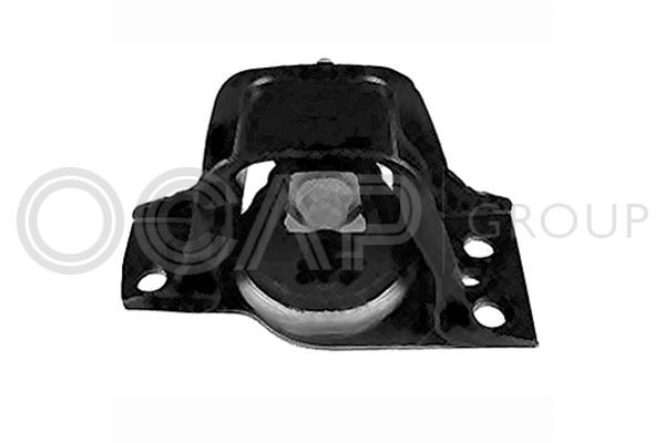 Variklio montavimas OCAP 1226045