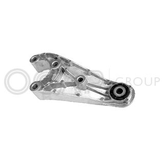 Variklio montavimas OCAP 1226049