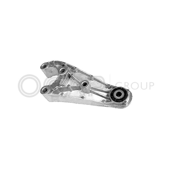 Variklio montavimas OCAP 1226049